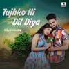 About Tujhko Hi Dil Diya Song